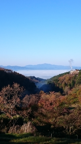 雲海