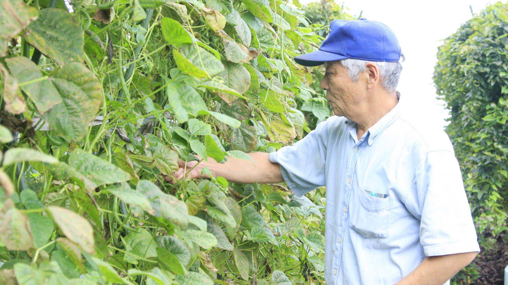 ≪自家農園≫能保利で提供するお料理は、自家農園で育てた新鮮野菜をふんだんに使用しています