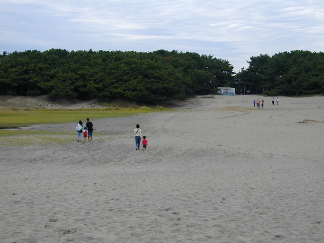 中田島砂丘３