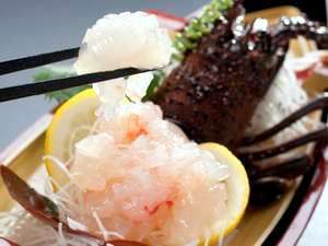 プリプリの食感を味わえる「伊勢えびのお造り」。朝食時伊勢えびの頭入り味噌汁も味わえるよ！