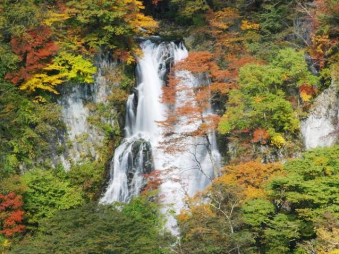 霧降の滝の紅葉