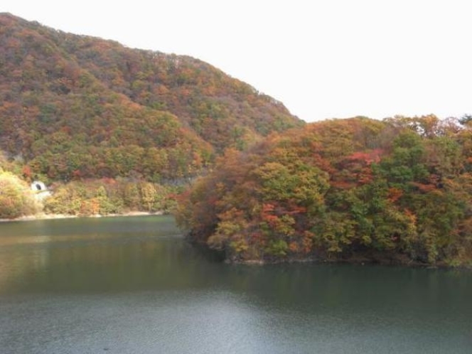 五十里湖の紅葉