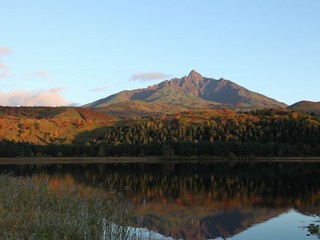 オタトマリの紅葉