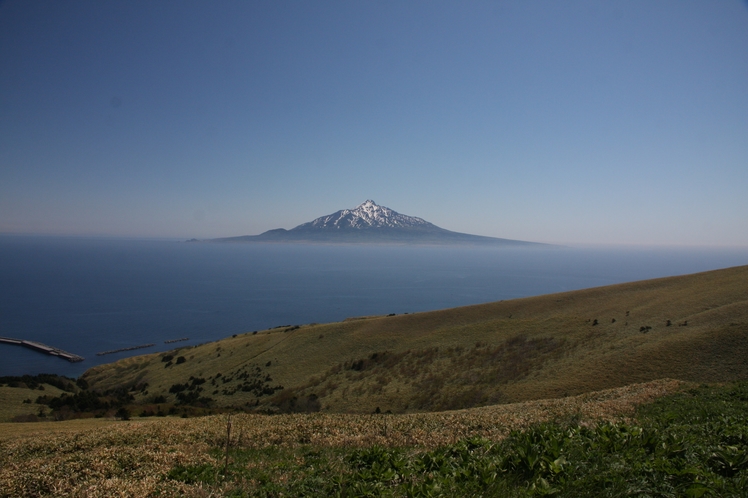 礼文島から