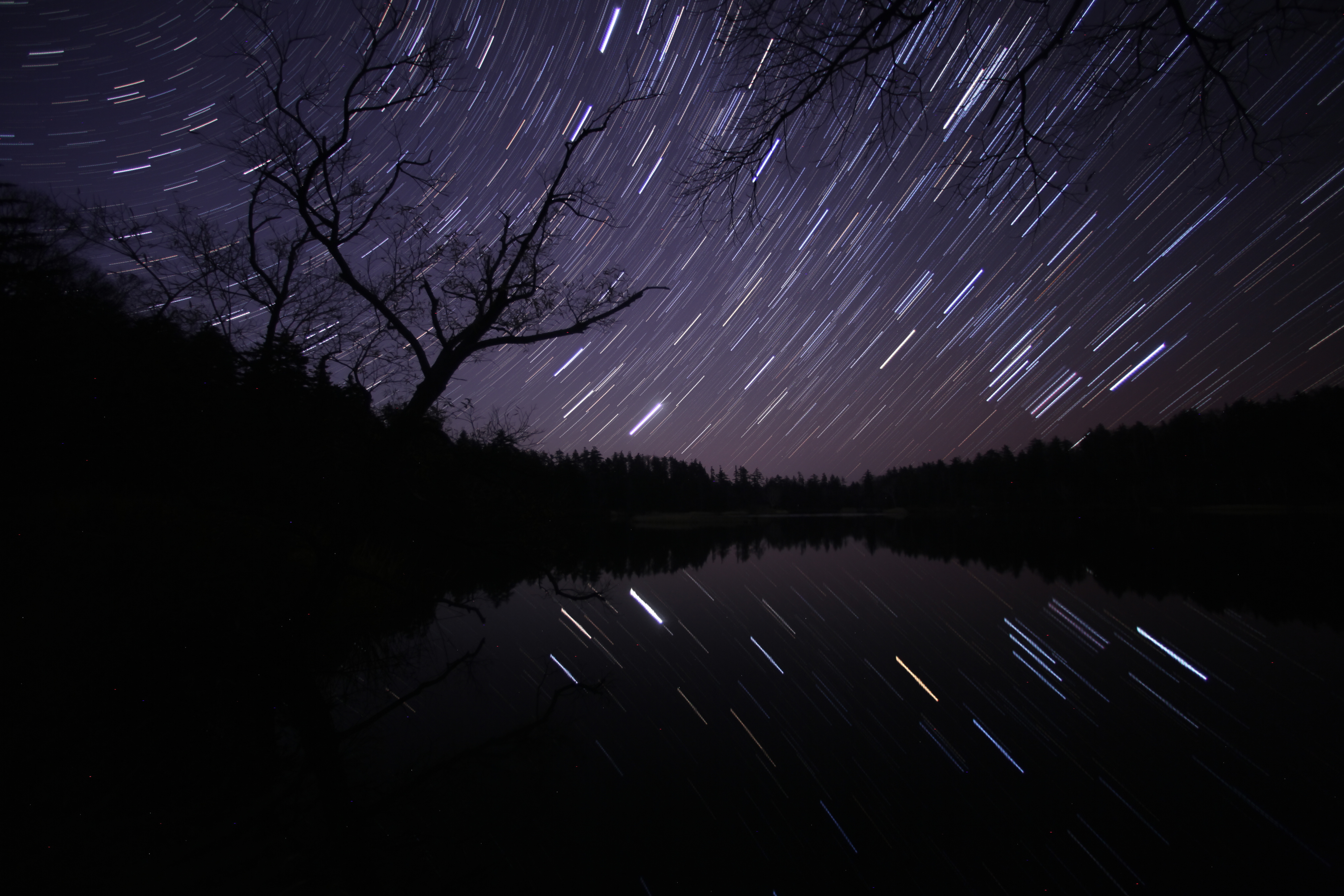 姫沼の星空