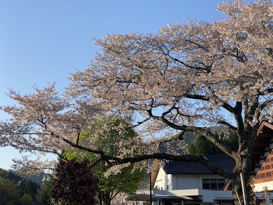 【2食付】種類豊富な源泉かけ流し美肌の湯×秋田の幸が揃う料理を堪能！全室禁煙ルーム