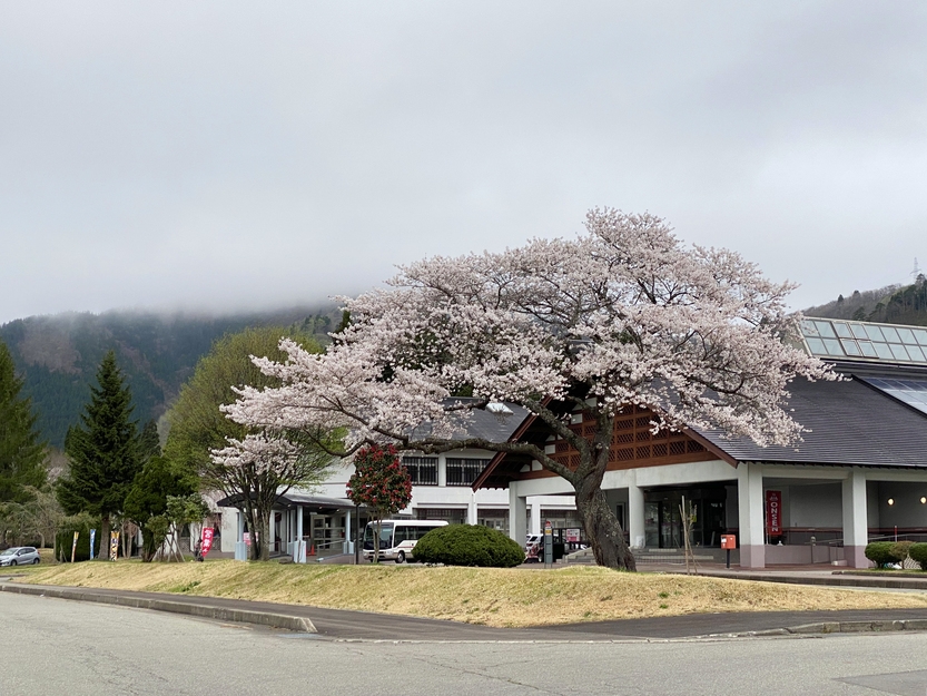 【2食付】種類豊富な源泉かけ流し美肌の湯×秋田の幸が揃う料理を堪能！全室禁煙ルーム