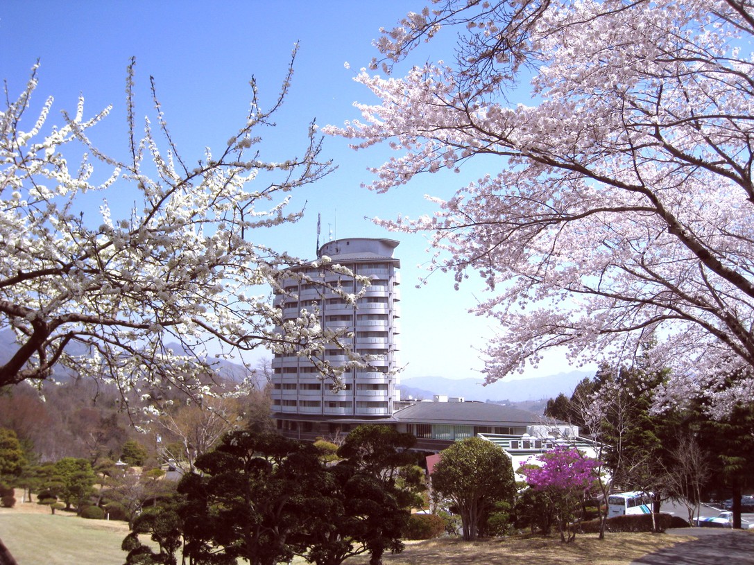 写真1