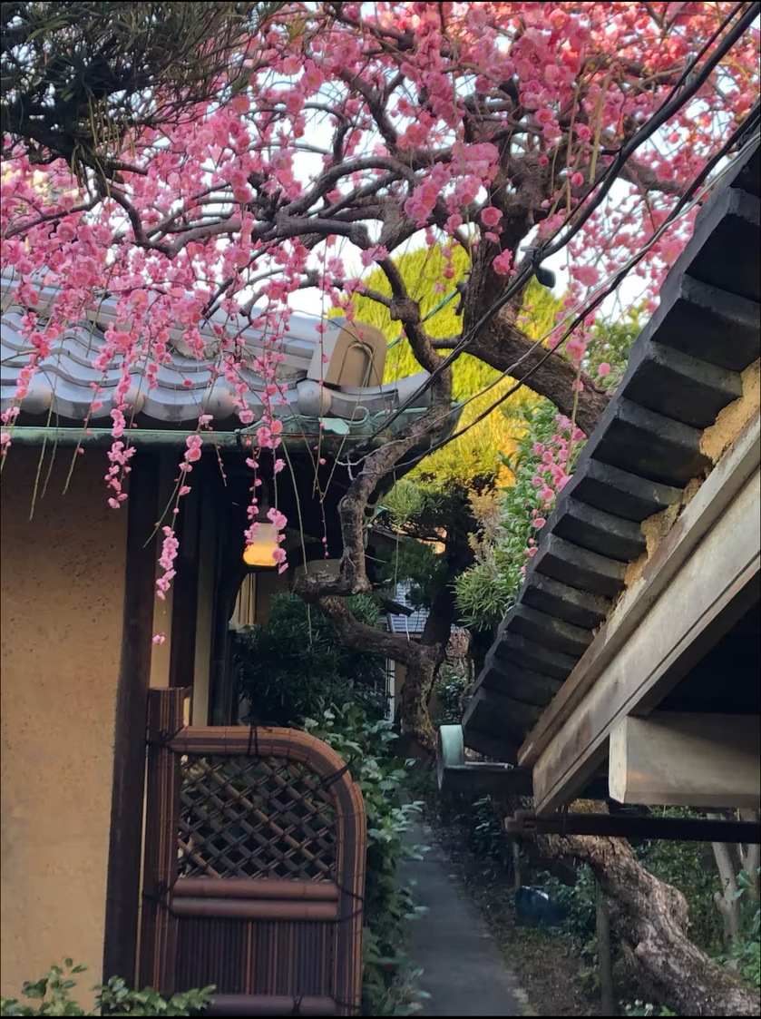 2連泊以上限定！魅力たっぷり！およそ築100年の本格日本家屋、一棟貸し切り！