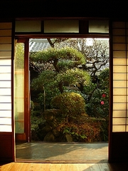 中庭　ロビーから