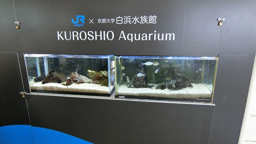 ・駅構内にあるミニ水族館