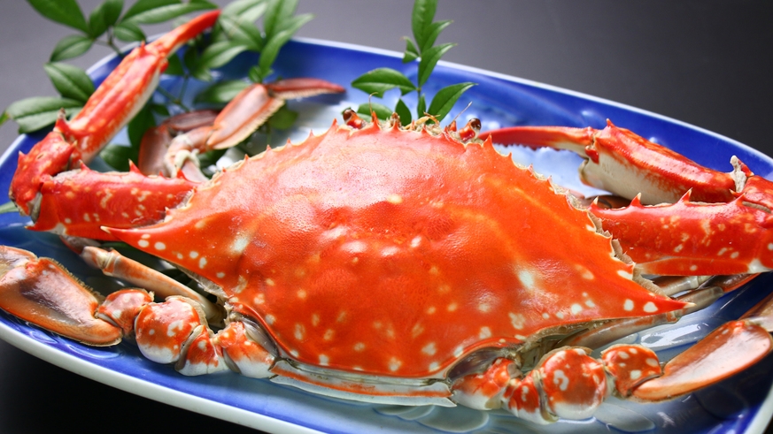 【楽天スーパーSALE】5％OFF【渡り蟹会席】名物「渡り蟹」＆「大海老」料理で甲ら家を満喫しよう