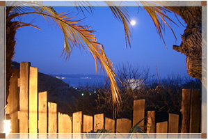 露天風呂からの眺め　満月