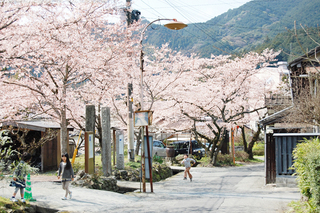 春の風景