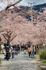 春の風景