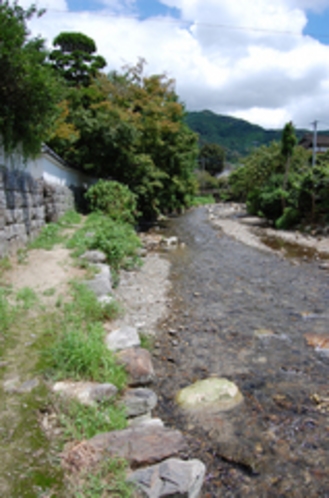 夏の風景