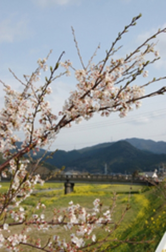 春の風景