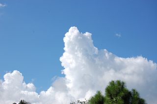 夏の風景