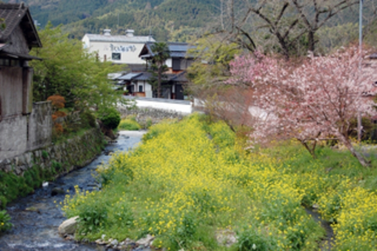 春の風景