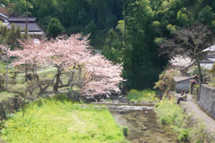 春の風景