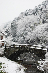 冬の風景