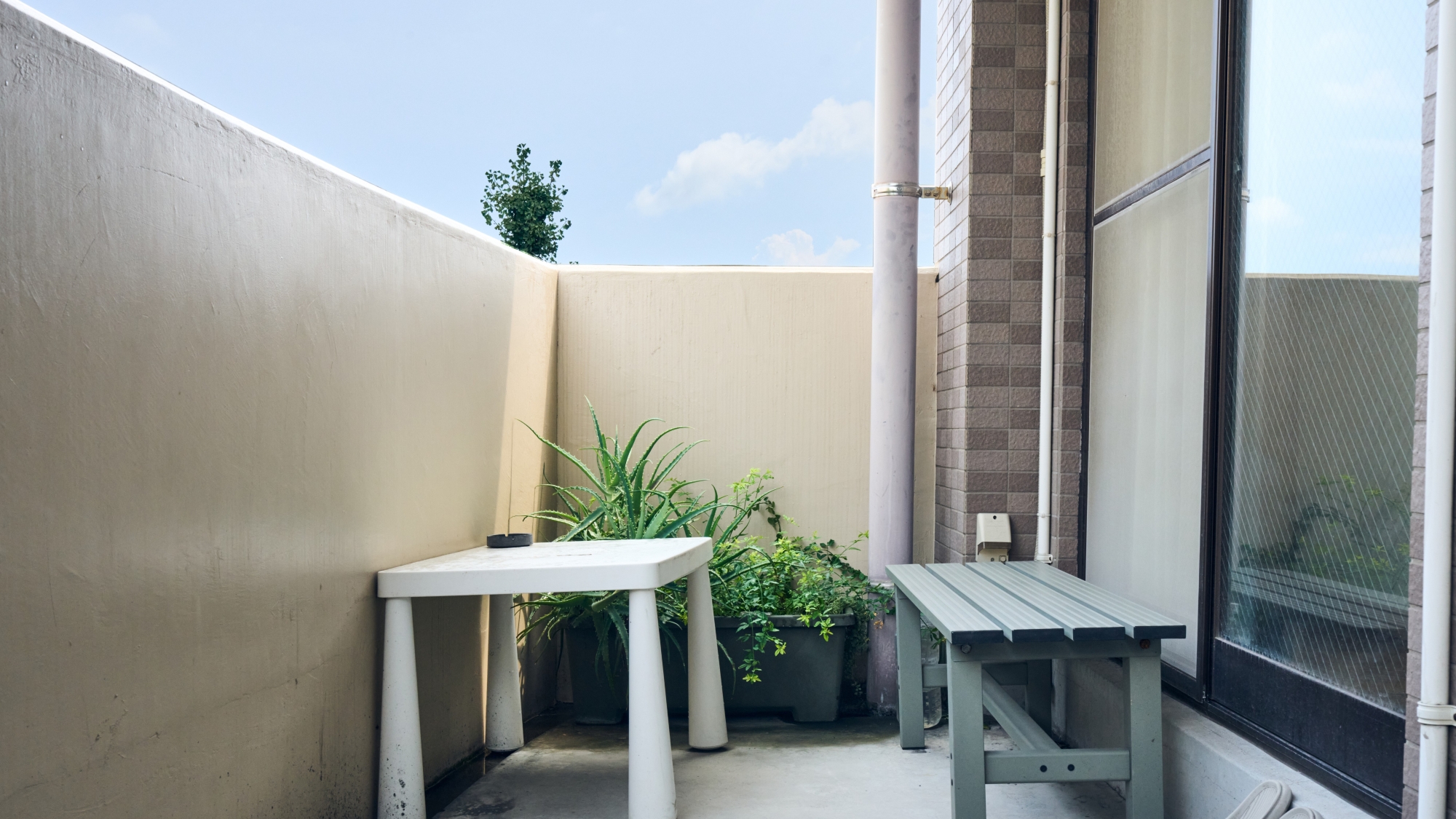 カプセル・ドミトリー（男女MIX）