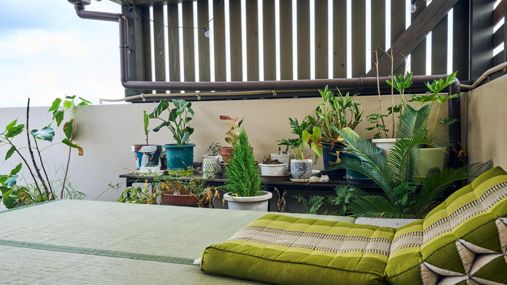 屋上_昼(共有スペース)