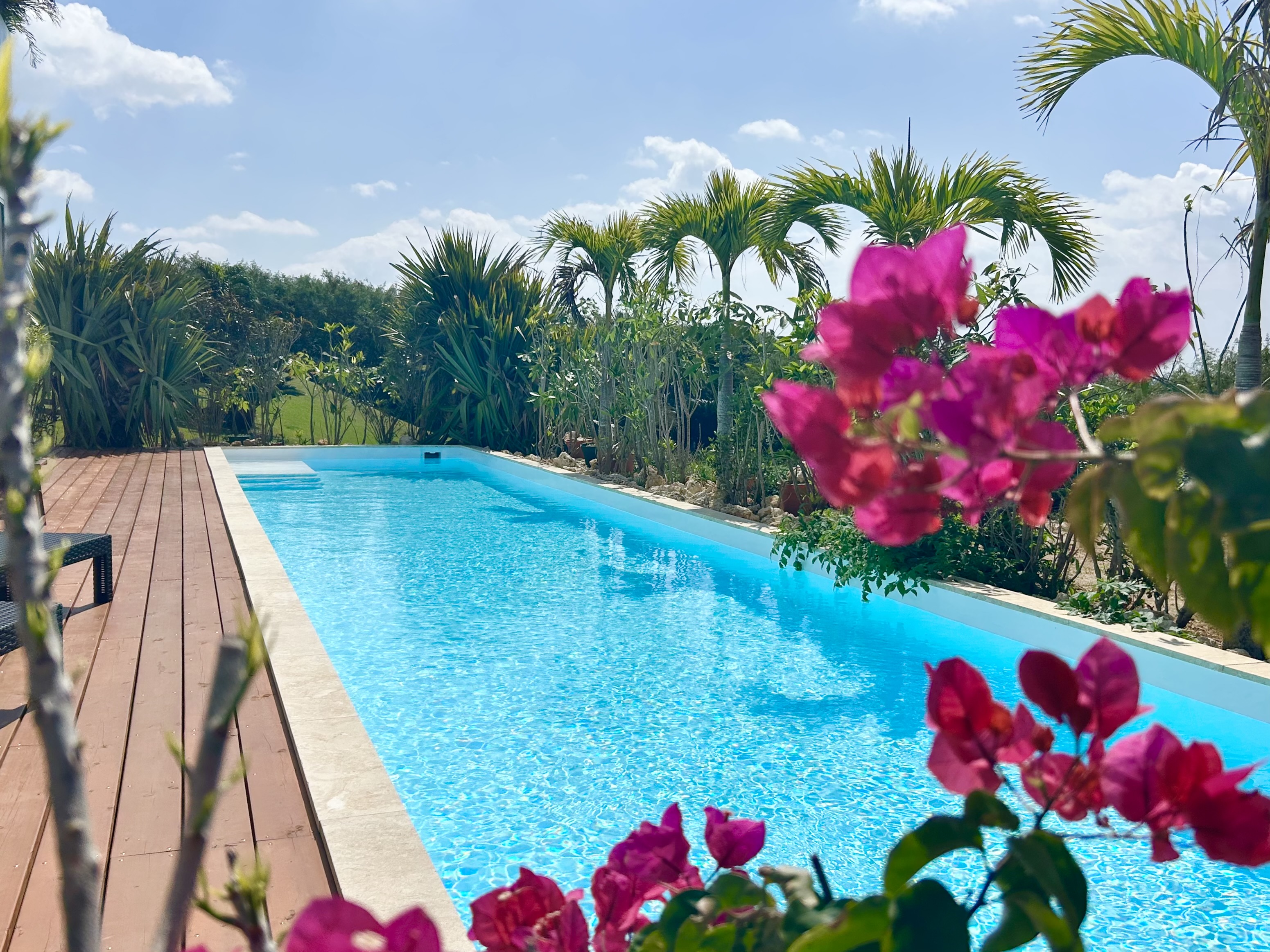 niwaガーデンプール