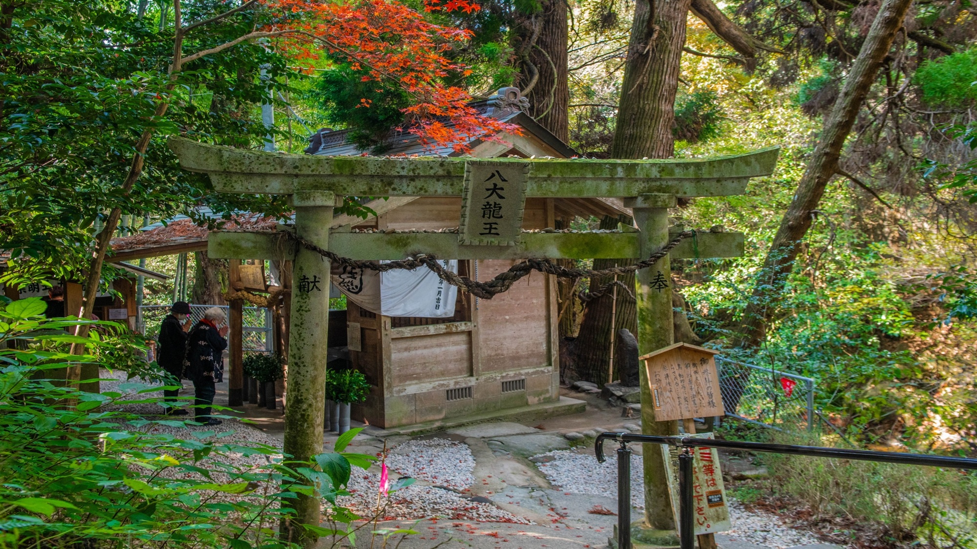 神龍八大龍王神社
