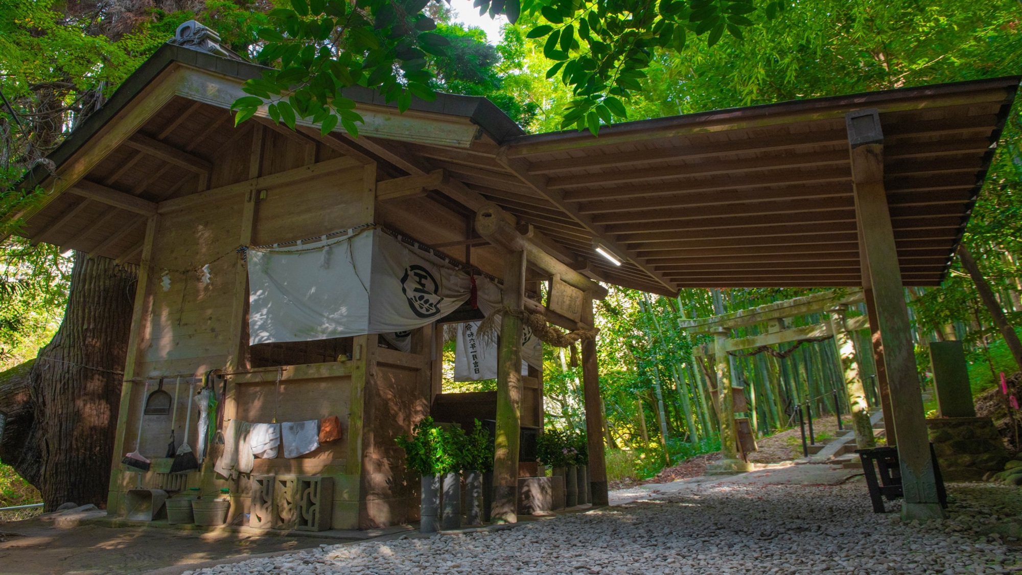 神龍八大龍王神社 