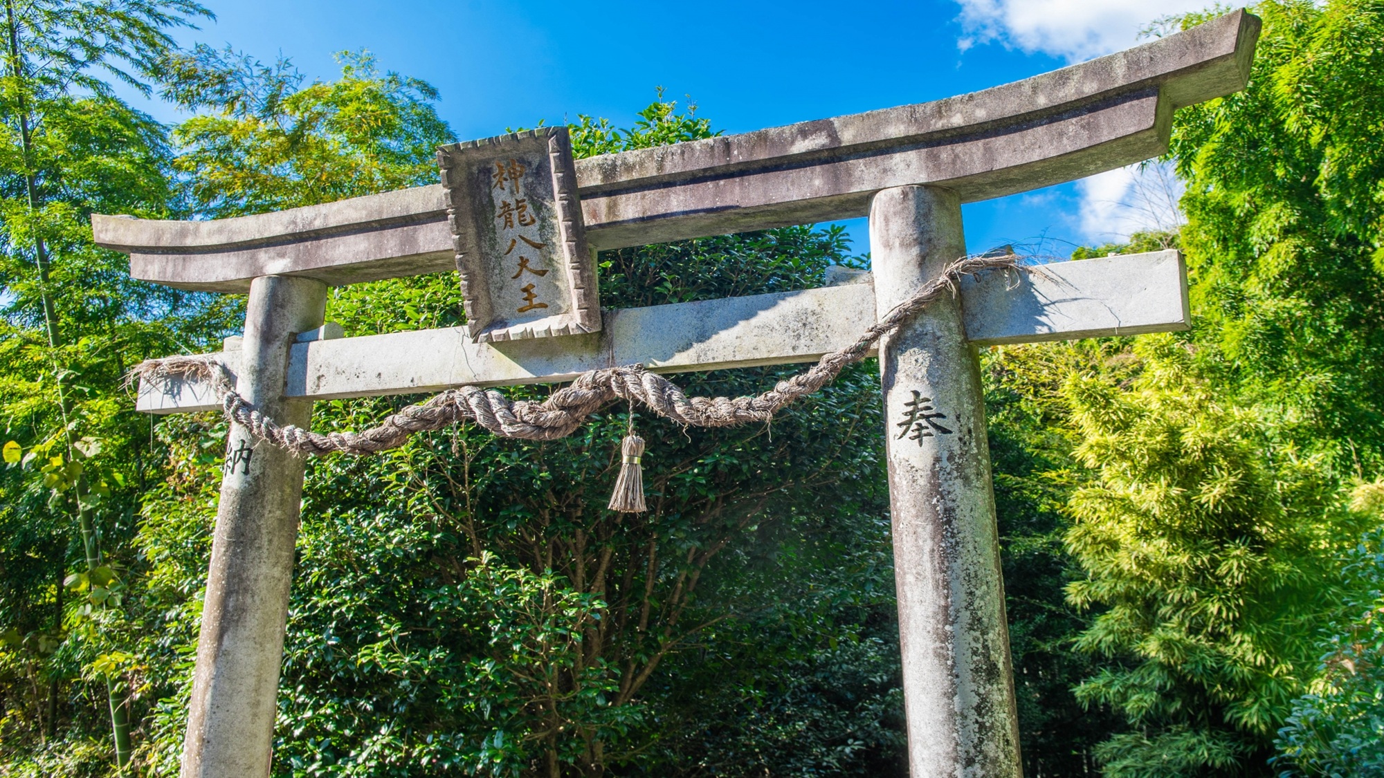 神龍八大龍王神社 