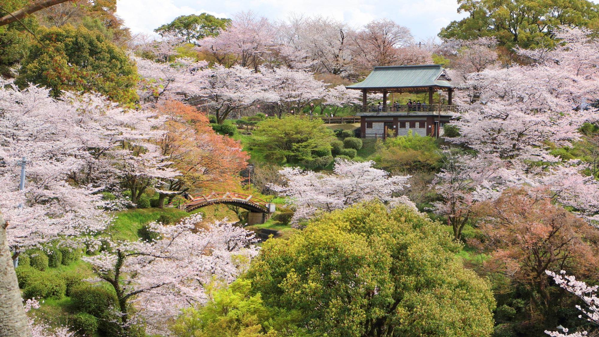 菊池公園