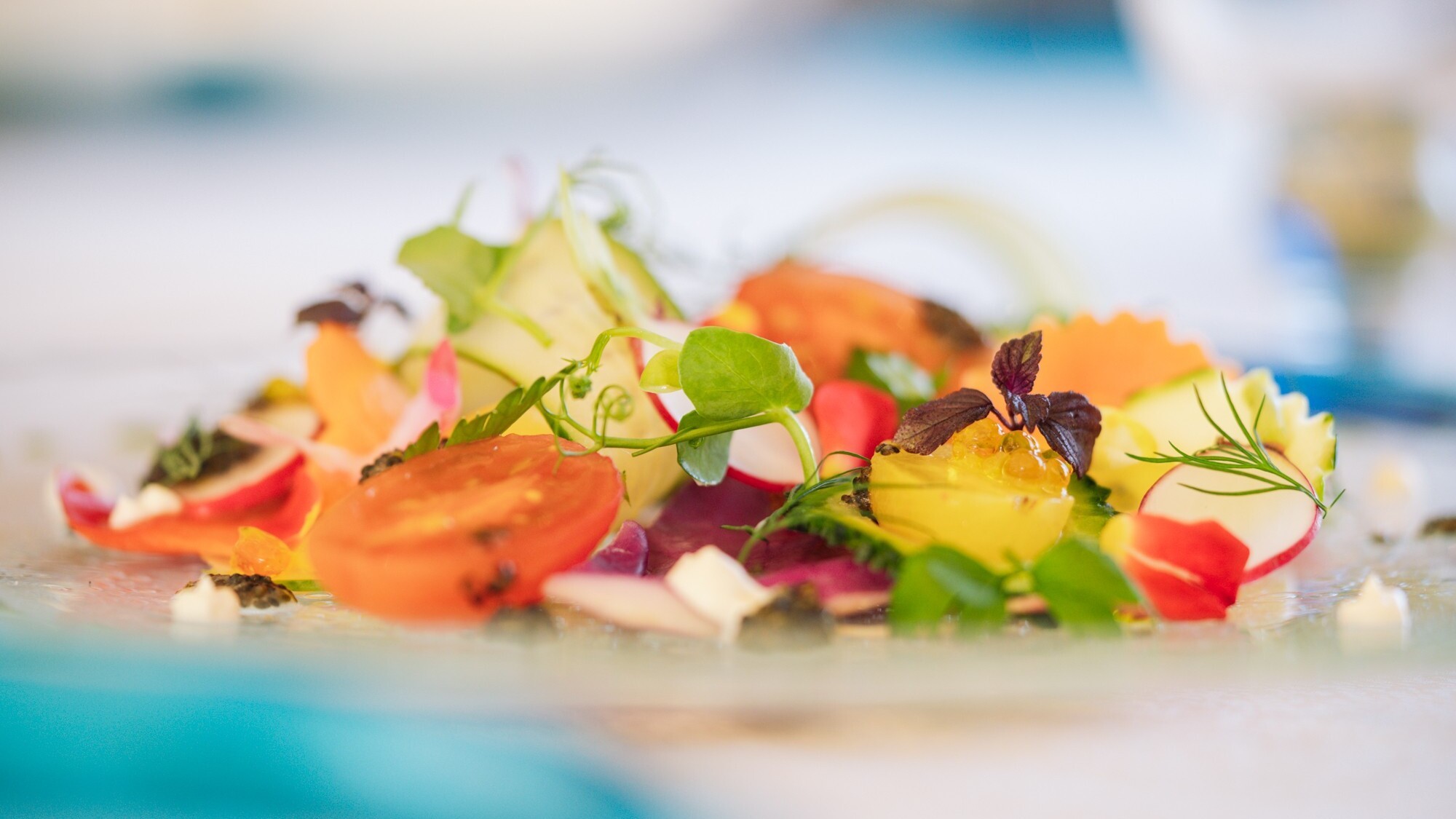 ファインダイニング