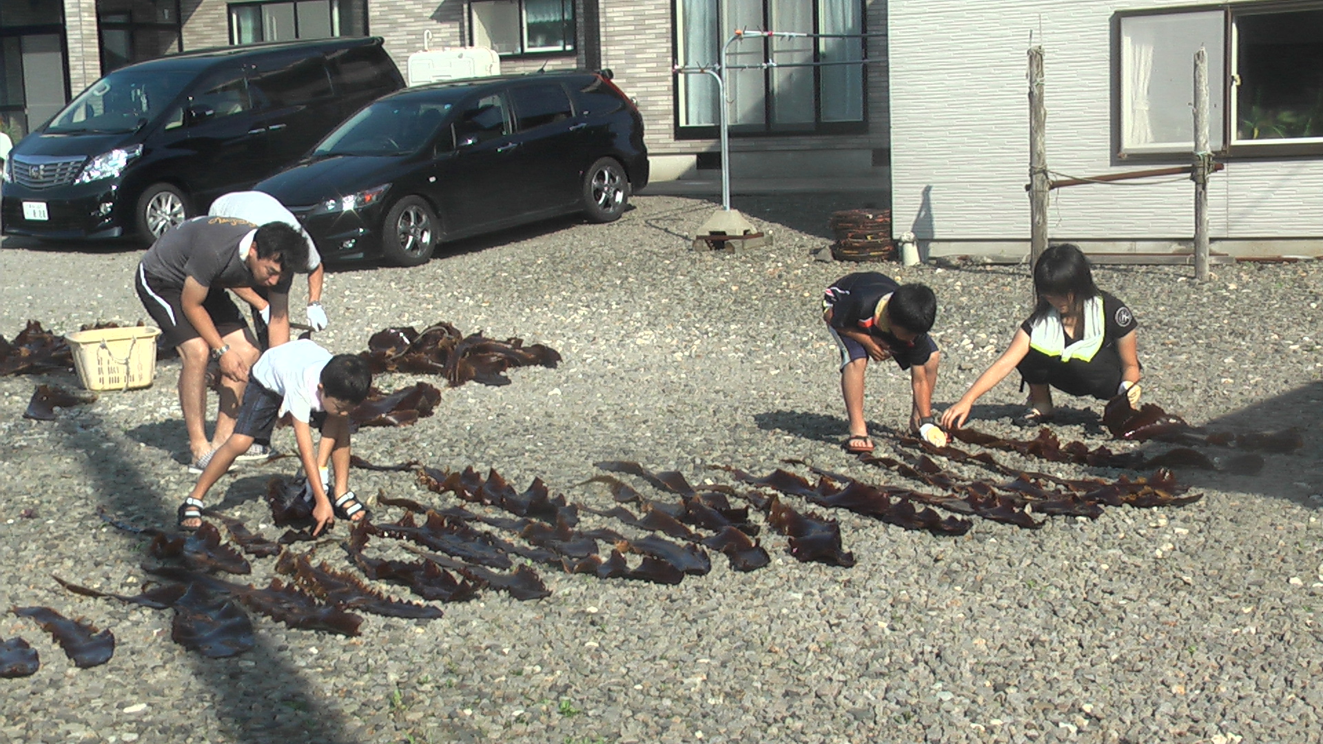 体験型民宿 葵 宿泊予約 楽天トラベル 体験型民宿 葵 宿泊予約 楽天トラベル