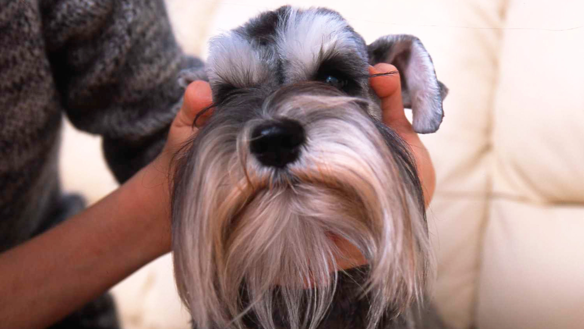 【6/1〜7/17限定】【現金決済用】夏のウェルカムプラン★冷た〜い生ビール＆旬のお刺身サービス！