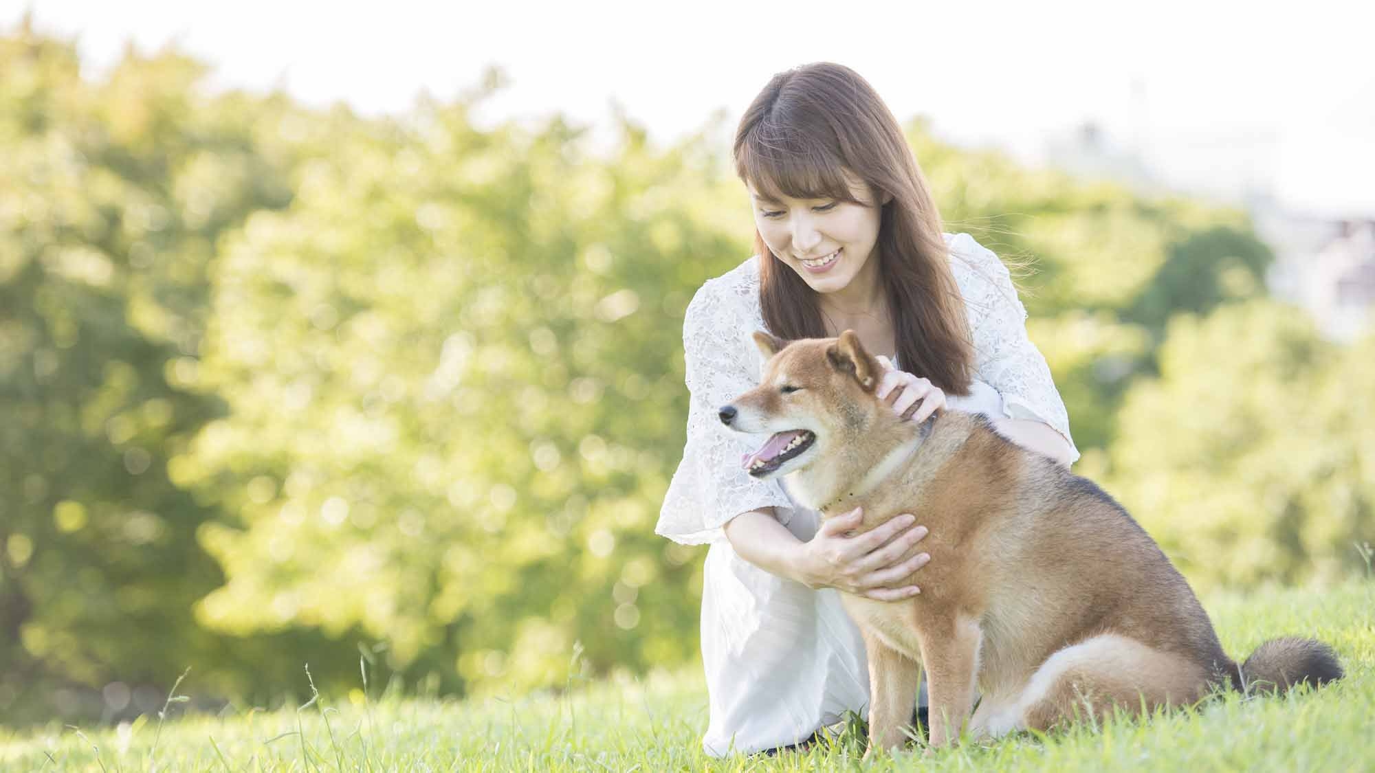 【一人旅（2食付）】【事前カード決済用】伊豆高原で愛犬と一緒にのんびりとした時間を楽しむ