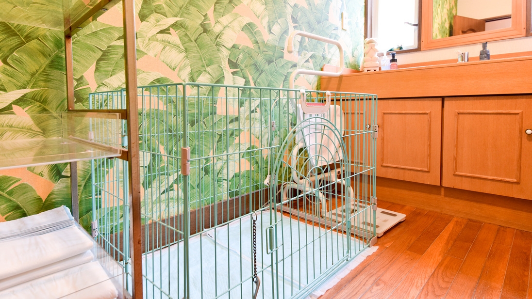 【一人旅（2食付）】【事前カード決済用】伊豆高原で愛犬と一緒にのんびりとした時間を楽しむ