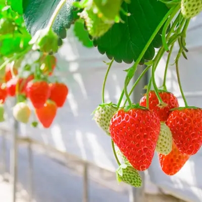 【平日限定】眺望自慢の温泉露天風呂を満喫♪素泊まりプラン　観光＆ビジネスにおすすめ♪