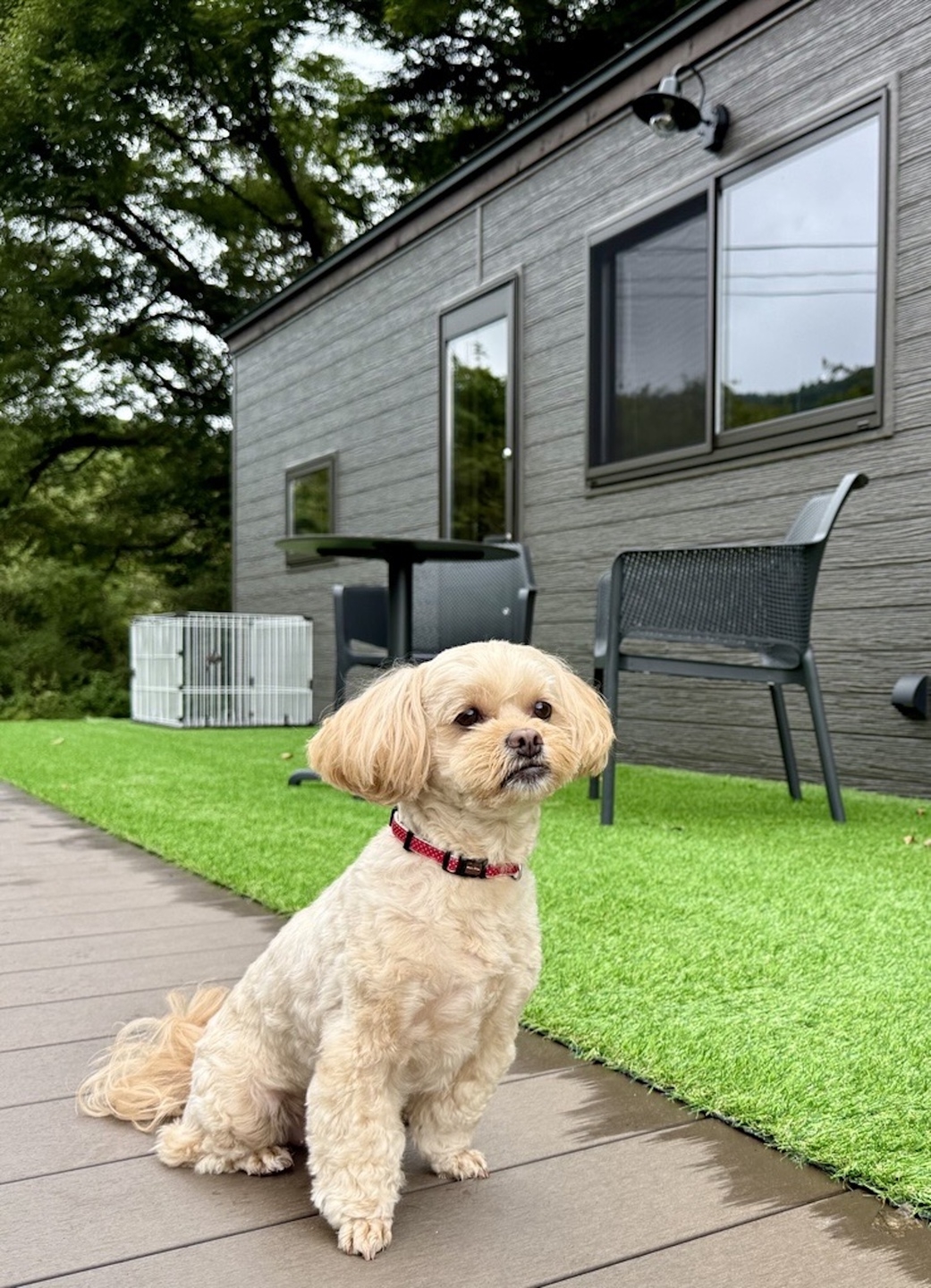 ”千曲亭または牛引亭”【１泊２食付プラン】夕食は選べるメイン料理！和朝食で満足プラン!　ペット同伴可