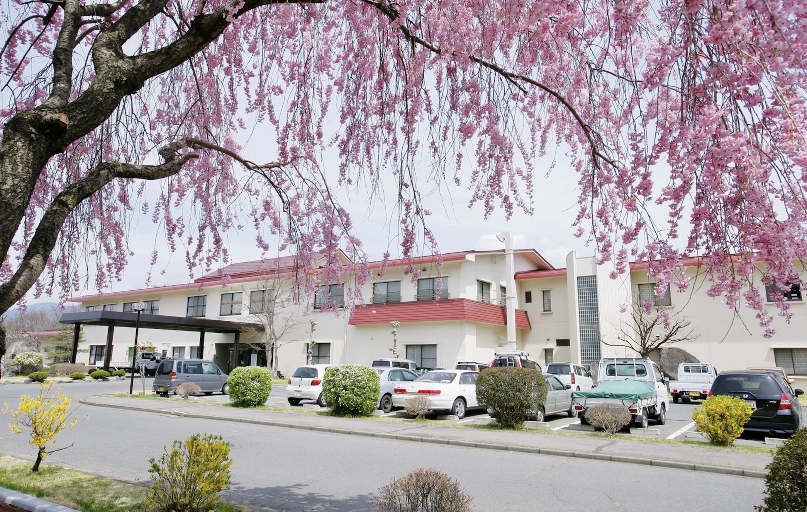 桜の季節の施設風景