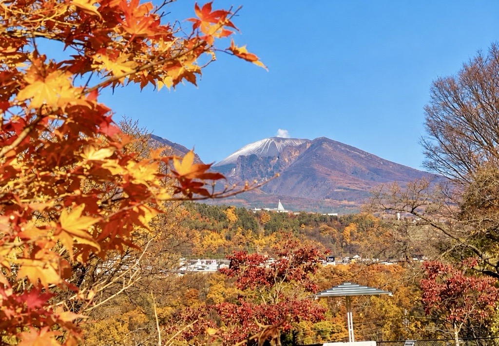 紅葉シーズン