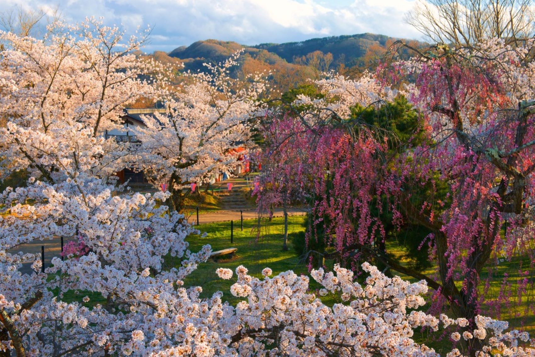 小諸城址 懐古園