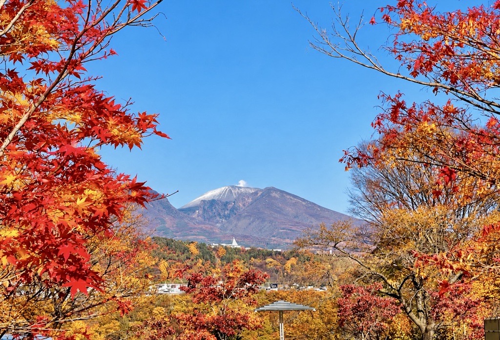 紅葉シーズン