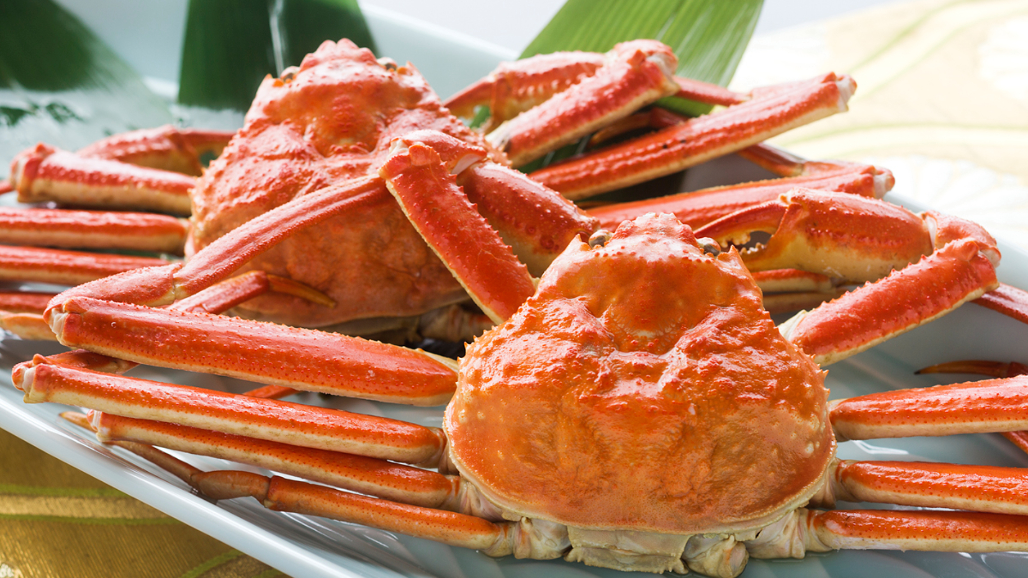 海はすぐそこ♪蟹と絶景、温泉に癒される宿