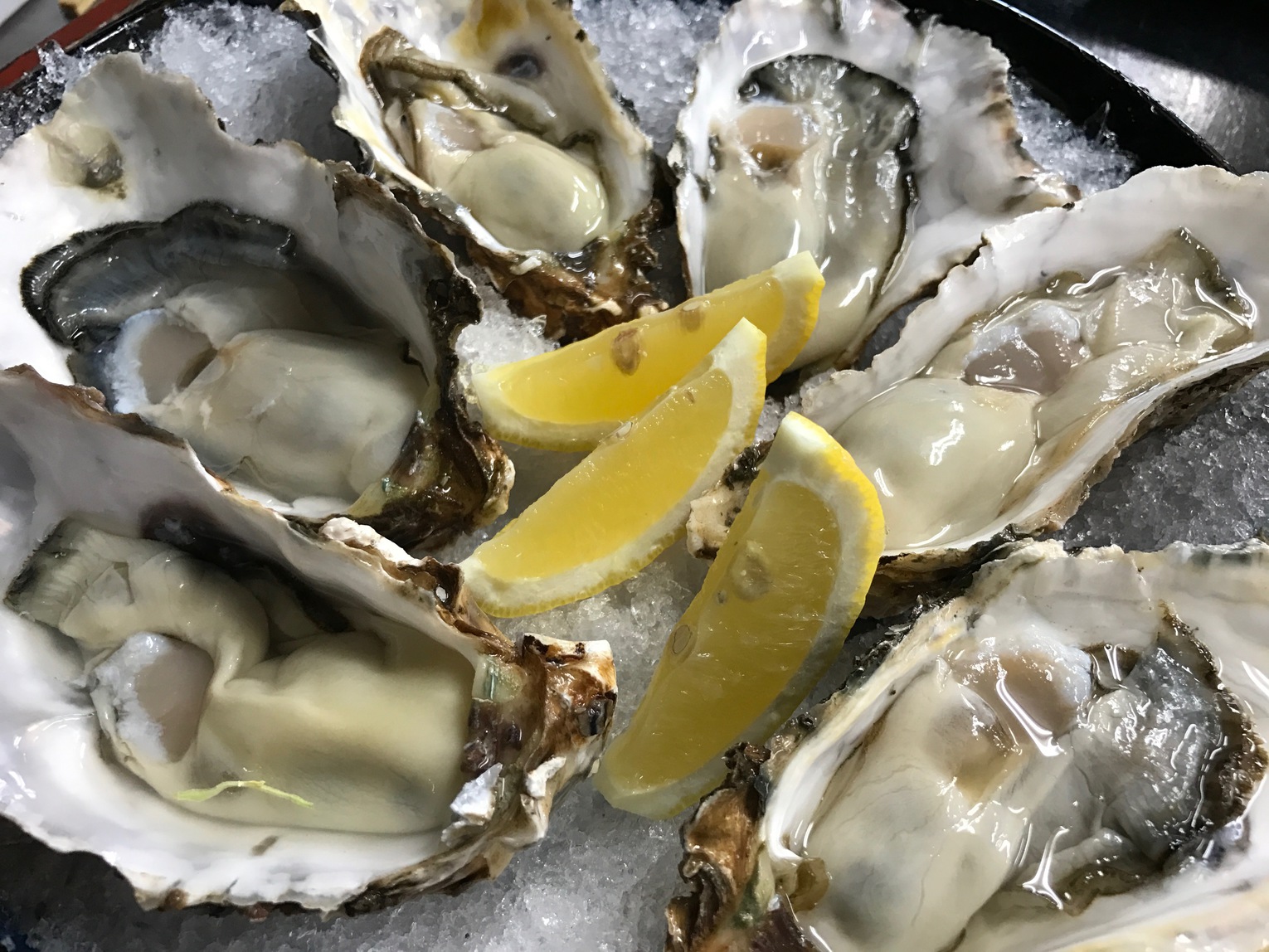 冬季限定【★旬★新鮮牡蠣づくし満腹コース】今年も始まりました！【夕食個室】