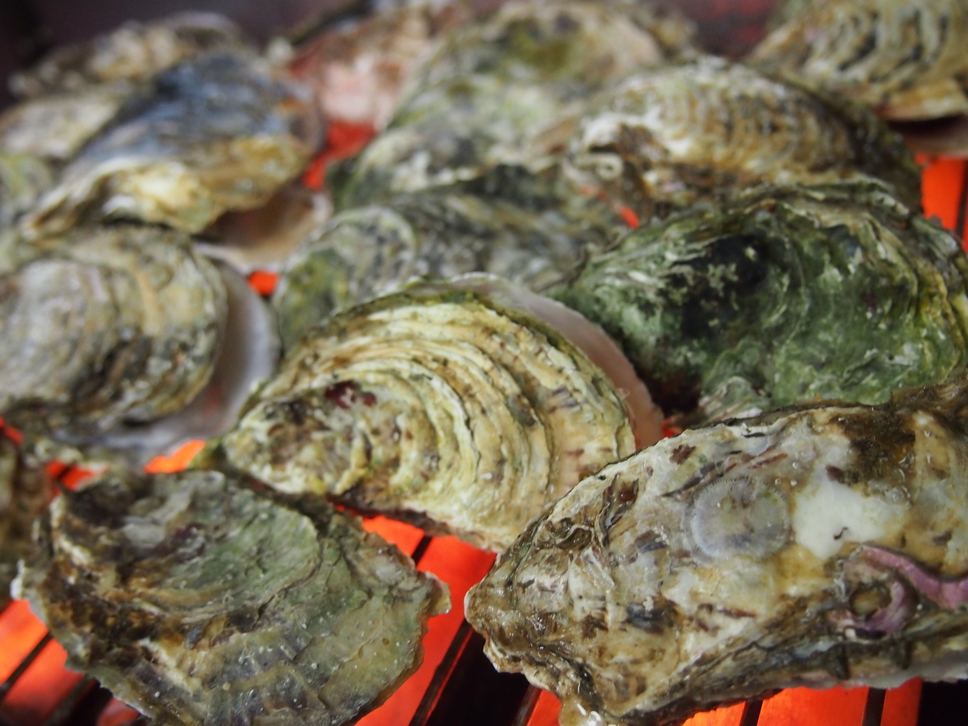 冬季限定【★旬★新鮮牡蠣づくし満腹コース】今年も始まりました！【夕食個室】