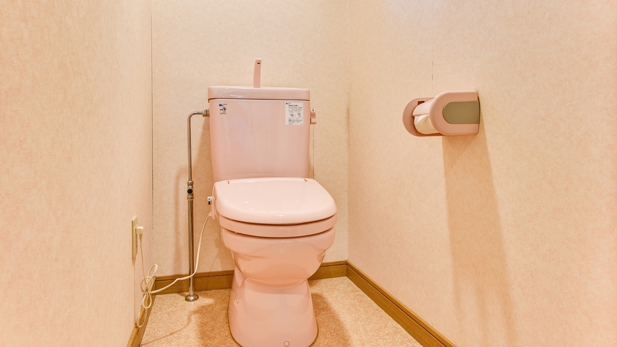 *新館　和室/トイレ付きのお部屋となっております