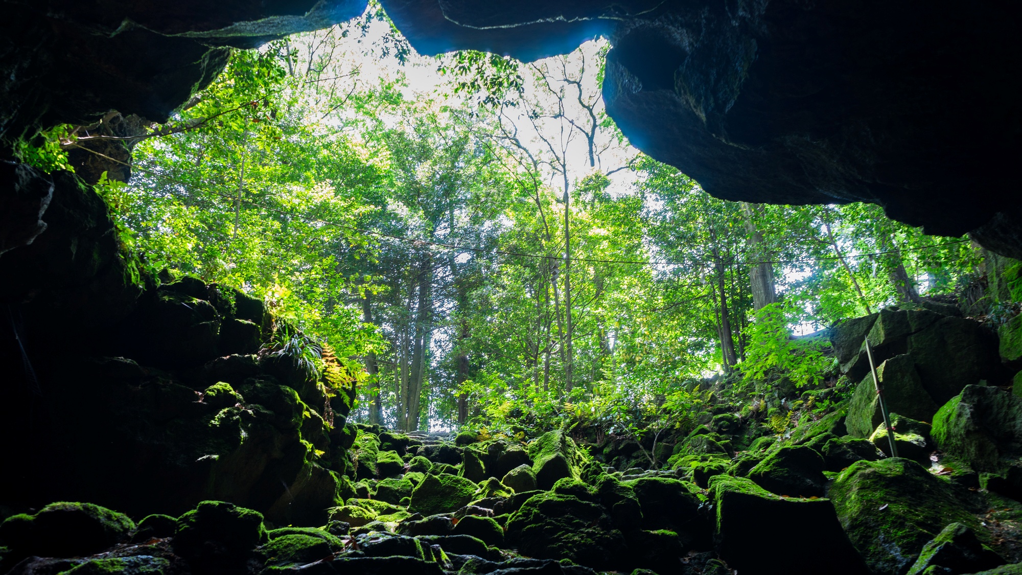 【当館から車で20分】世界でも珍しい溶岩洞穴「富士駒門風穴」