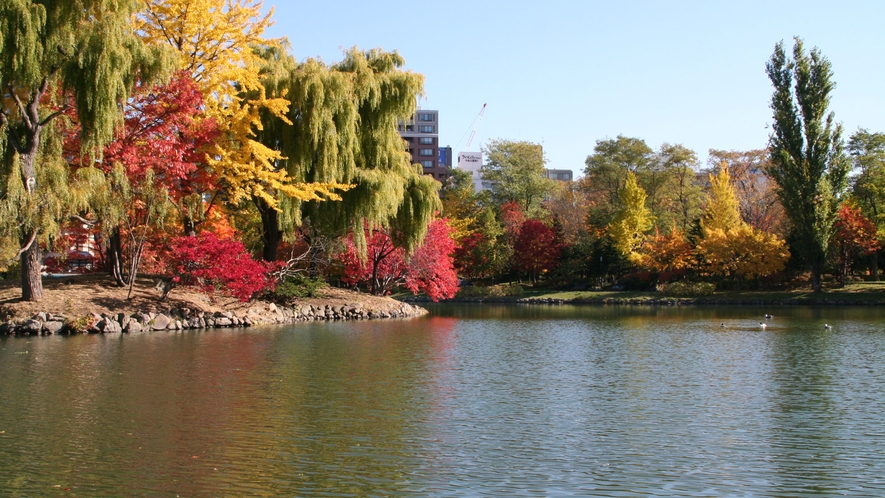【秋】紅葉で赤黄に色づく中島公園