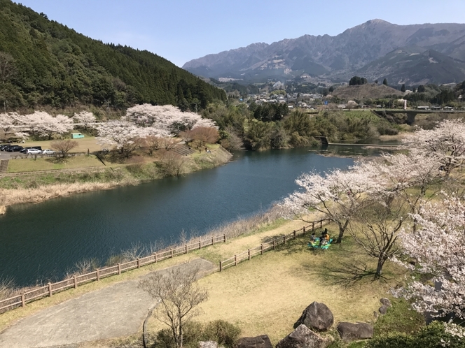 一房ダム周辺　桜画像